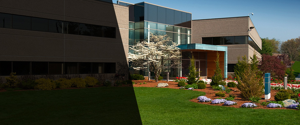 Woodbury Heights Landscapers