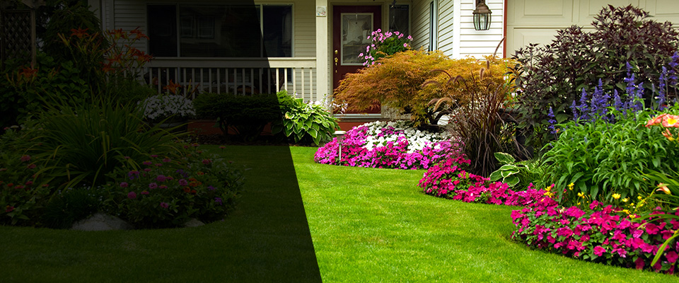Woodbury Heights Landscapers