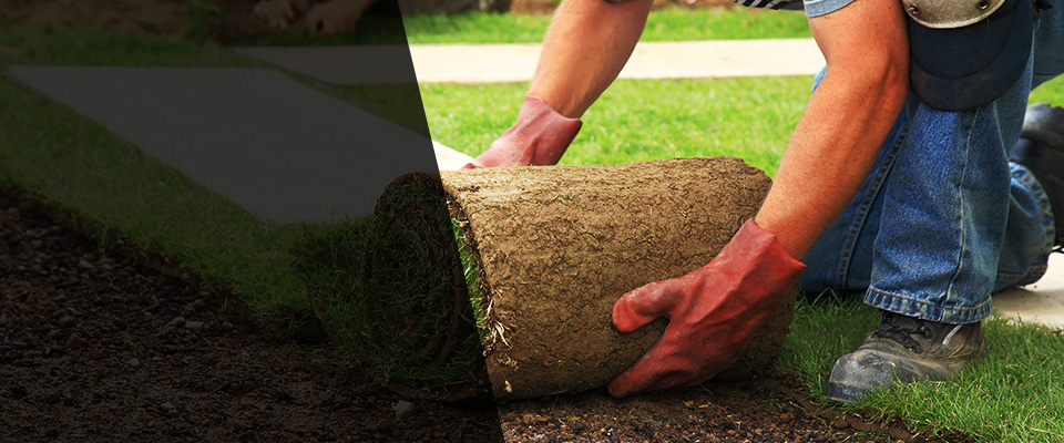 Woodbury Heights Landscapers